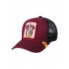 Harry Potter Gorra de Malla Ajustable 58 cm
